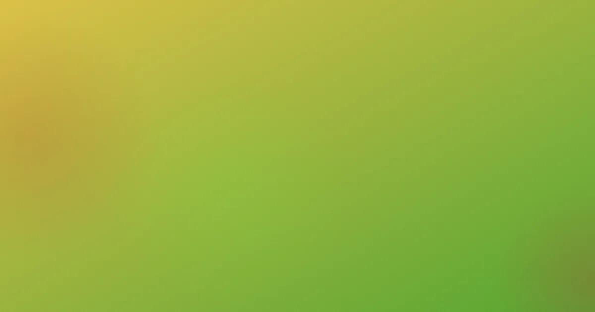 魔术表演攻略：常见问题答疑